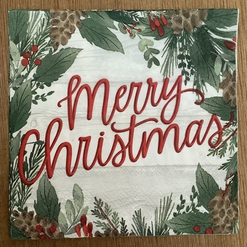 Two merry christmas winter - merry,